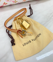 LOUIS VUITTON SPEEDY 35 WATERCOLOR AQUARELLE