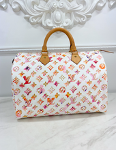 LOUIS VUITTON SPEEDY 35 WATERCOLOR AQUARELLE