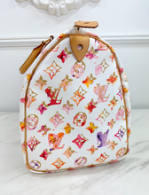 LOUIS VUITTON SPEEDY 35 WATERCOLOR AQUARELLE