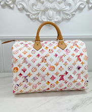 LOUIS VUITTON SPEEDY 35 WATERCOLOR AQUARELLE