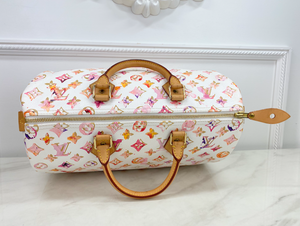 LOUIS VUITTON SPEEDY 35 WATERCOLOR AQUARELLE