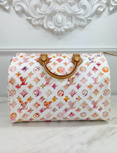 LOUIS VUITTON SPEEDY 35 WATERCOLOR AQUARELLE