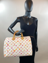 LOUIS VUITTON SPEEDY 35 WATERCOLOR AQUARELLE