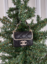 CC SNAP PURSE ORNAMENT + EARRINGS (BLACK)