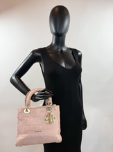 DIOR LADY CANNAGE D-LITE PINK EMBROIDERED BAG