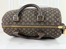 LOUIS VUITTON SPEEDY 30 MINI LIN