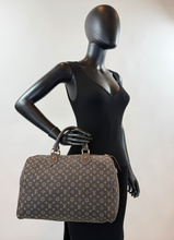 LOUIS VUITTON SPEEDY 30 MINI LIN