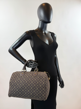 LOUIS VUITTON SPEEDY 30 MINI LIN