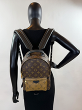 LOUIS VUITTON PALM SPRINGS BACKPACK PM REVERSE MONOGRAM