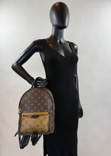 LOUIS VUITTON PALM SPRINGS BACKPACK PM REVERSE MONOGRAM