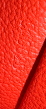 LOUIS VUITTON COSMETIC POUCH DE