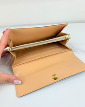 LOUIS VUITTON WALLET MULTICOLOR SARAH / WOC TH0075