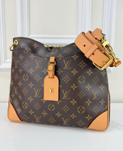 LOUIS VUITTON ODEON MM NM